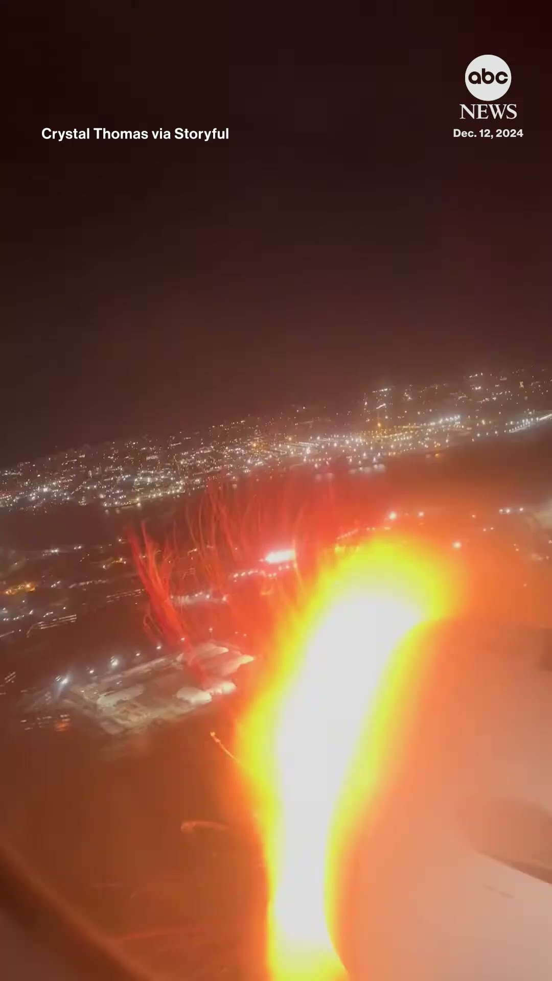 Moment an apparent bird strike forces an American Airlines flight to make an emergency landing