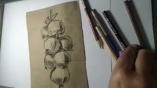 Still Life Sketch: Onions in Charcoal | Process