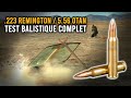 Que vaut le 223 remington  556 otan 