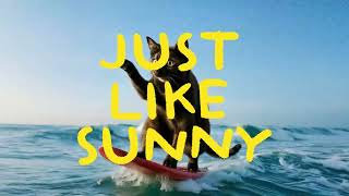 GYMV - Just Like Sunny [Official Visualizer]