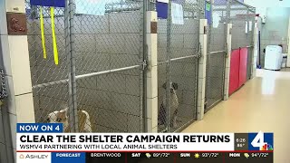 Clear the shelter campaign returns