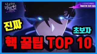 [나혼렙:어라이즈] 해외섭 고인물이 알려주는 초보자 핵 꿀팁 TOP 10