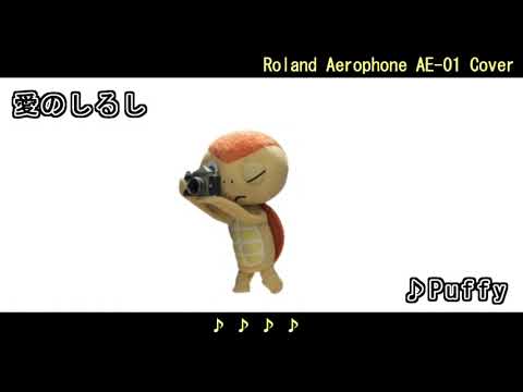 愛のしるし/Puffy　Roland Aerophone AE-10 Cover