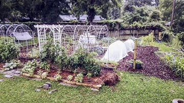 16 Day Timelapse of the Garden.