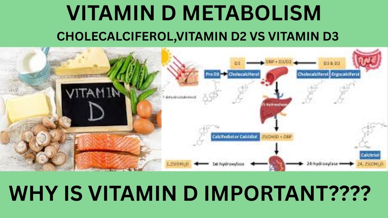 What Is Vitamin D D2 And D3