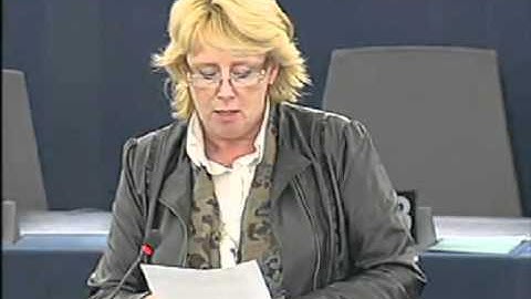 Lena Ek on Explanations of vote