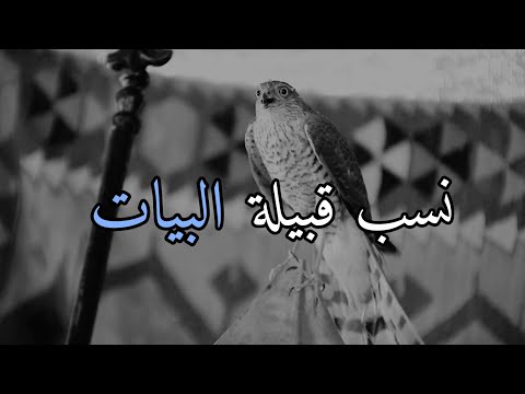 نسب قبيلة البيات Bayat Boynun Kökeni