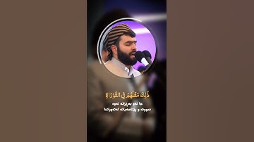 مُحَمَّدٌ رَّسُولُ اللَّهِ | بيشه وا قادر الكردي#اللە #محمد_رسول_الله #بیشةواقادرالكردي #سورة_الفتح
