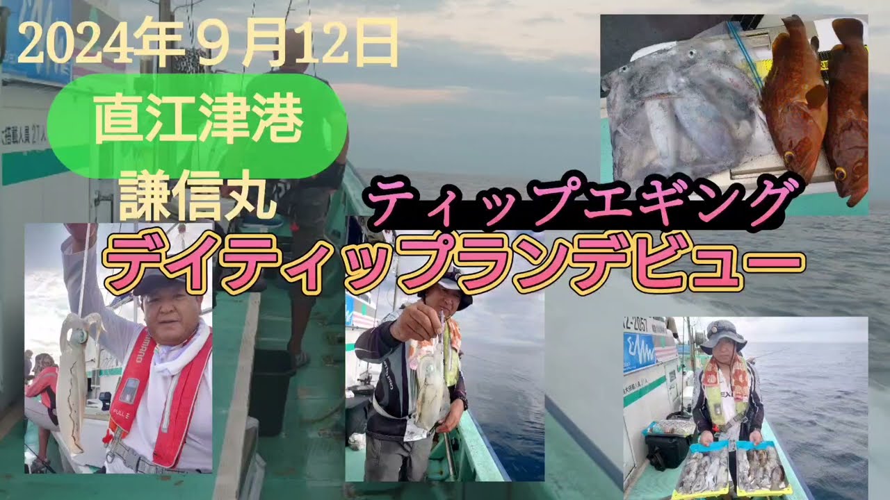 商談中】ティップラン 引退品 【公式通販】