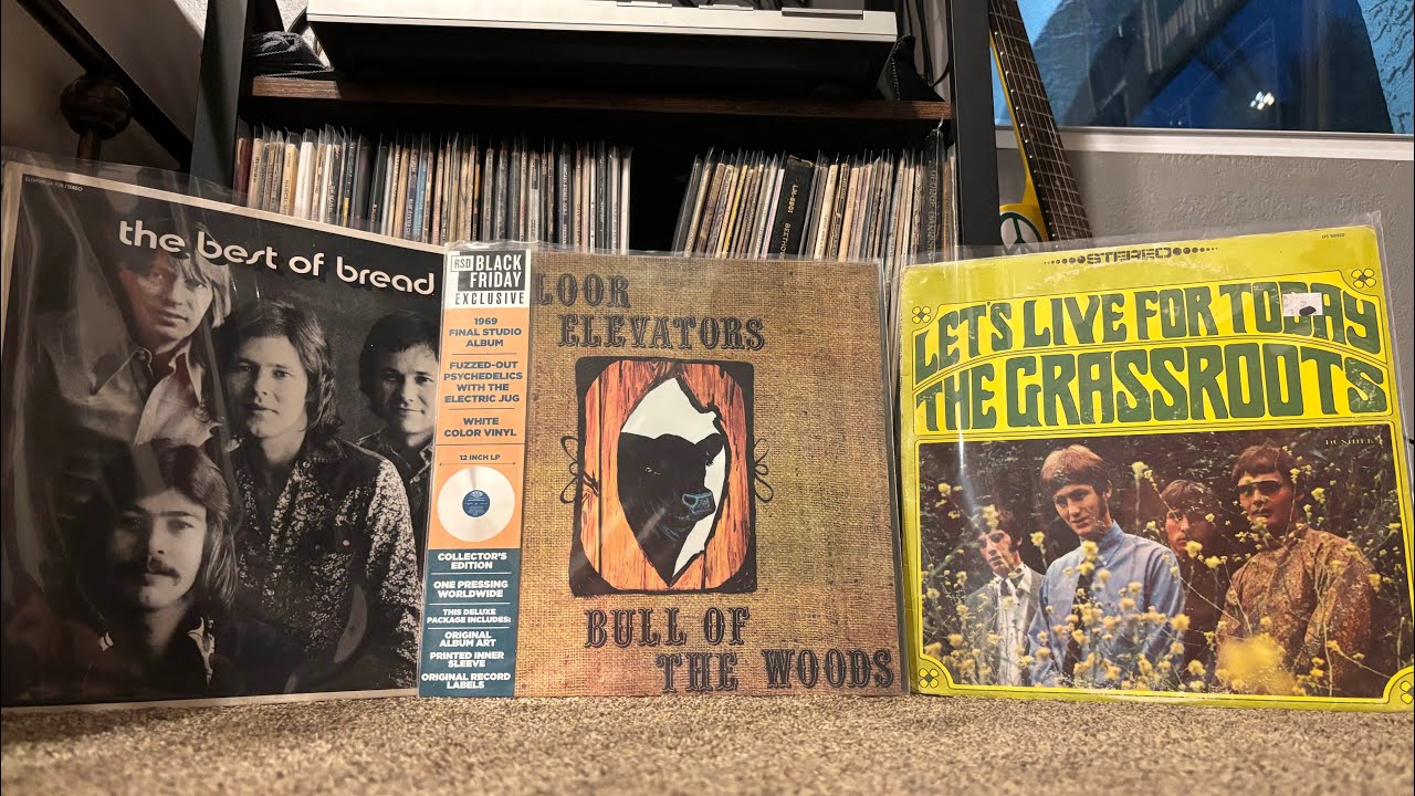 Vinyl Haul ￼#2 #vinyl #records #vinylrecords #vintage #retro #cool #video #viral #vinyloftheday 