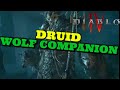 Diablo IV - Companion Druid First Impressions