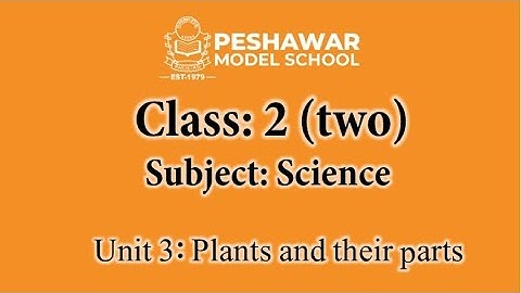 Science | Class 2 | Unit 3 | Plants and their parts