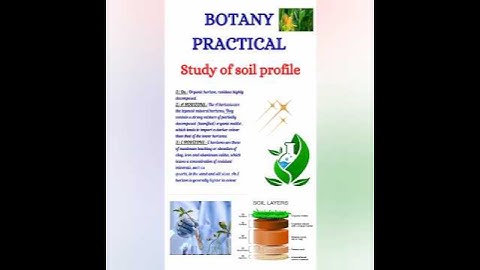 Study of soil profile|Botany Practical|B.Sc.6th Semester#botany#laboratory#nature