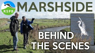 RSPB Marshside   Behind the scenes   What the public don&#39;t normally see