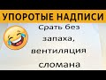 50 САМЫХ упоротых объявлений - СРАТЬ БЕЗ ЗАПАХА