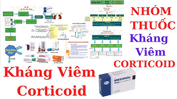 Nhóm thuốc kháng viêm Corticoid | Dược lý kháng viêm Video2 | Y Dược TV