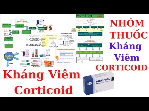 Video: Những Thay đổi Hành Vi Liên Quan đến Việc Sử Dụng Glucocorticoid ở Chó