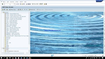 Display Document AP Invoice from PO History and FBL1N in SAP