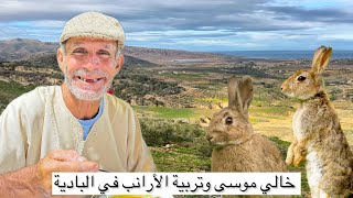 خالي موسى وتربية الأرانب في البادية 