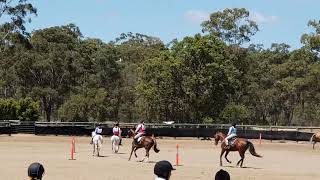 PCAQ State Formal Gymkhana Maryborough Rider Class. Brandy
