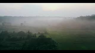Aesthetic/Cinematic videos - Kabut pemandangan alam