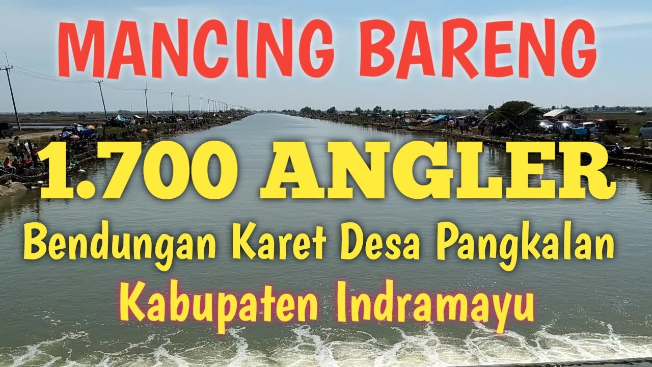 MANCING BARENG TRISI BARRAMUNDI SILATURAHMI 1.700 ANGLER DI BENDUNGAN KARET DESA PANGKALAN INDRAMAYU