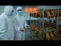 带大家参观“宽菜工厂”的每个部门，看高品质卤味是如何炼成的！
