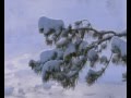 Верасы - Завируха (Белый снег)