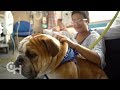 For the love of dogs pet therapy at chop