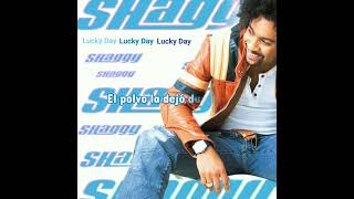 Shaggy - Hey Sexy Lady