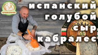 Испанский голубой сыр Кабралес. Рецепт приготовления на сыроварне Перваченко.