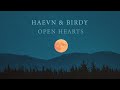 Haevn  birdy  open hearts