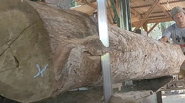 Old and expensive, this is super teak wood for joglo house frame beams 