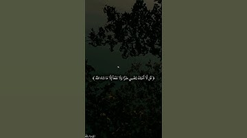 قُلْ لَا أَمْلِكُ لِنَفْسِي نَفْعًا وَلَا ضَرًّا إِلَّا مَا شَاءَ اللَّهُ  || القارئ عبدالرحمن مسعد