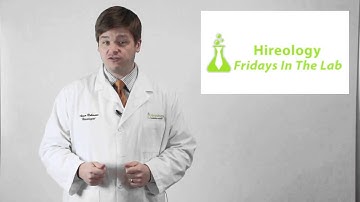 Fridays in the Lab - Hiring Salespeople Part 3: The Interview