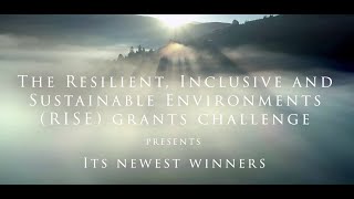 Announcing the winners of the RISE grants challenge 2023 call