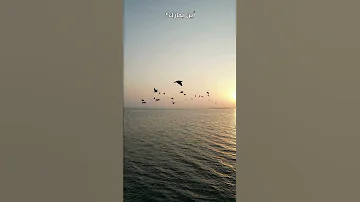أين الملوك أين الجبابرة لمن الملك اليوم مواعظ الشيخ كشك آخر الزمان 