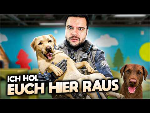 Solo Queue, but the hostage is a DOG! 🐶 CS2 Solo Queue Adventure SHELTER