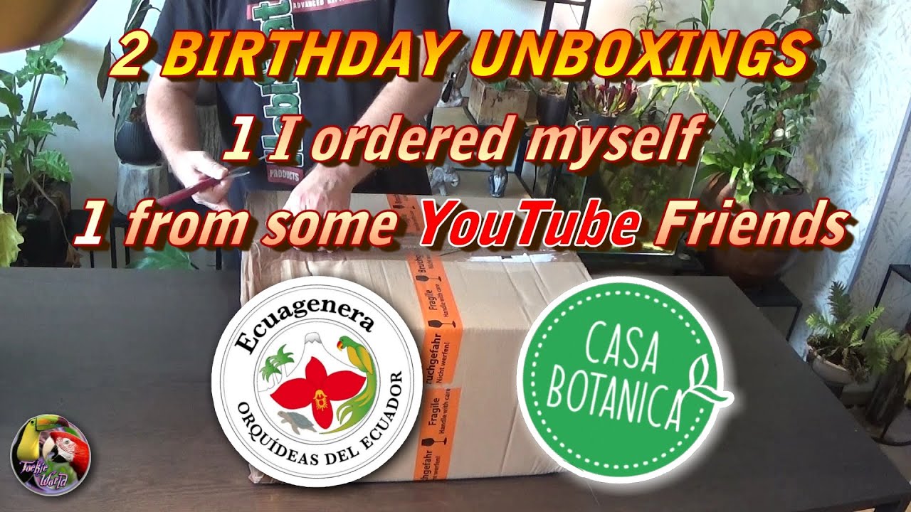 2 BIRTHDAY PLANT UNBOXINGs - 1 from some YouTube Friends