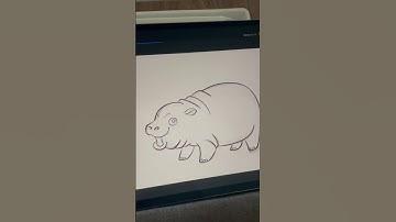 Drawing #moodeng #watchmedraw