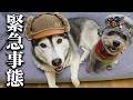 深夜に緊急事態に...