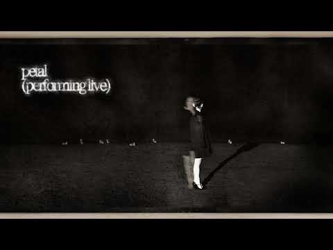 Ariana Grande - petal (performing live)