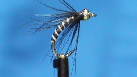 Fly Tying a Moose Mane Soft Hackle with Jim Misiura