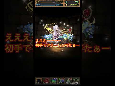 【パズドラ】葬送のフリーレンコラボガチャ引いてみた‼️初手は神引きだった件⁉️#パズドラ#パズドラ葬送のフリーレンコラボ#葬送のフリーレン