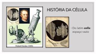 CÉLULA: A UNIDADE BÁSICA DA VIDA