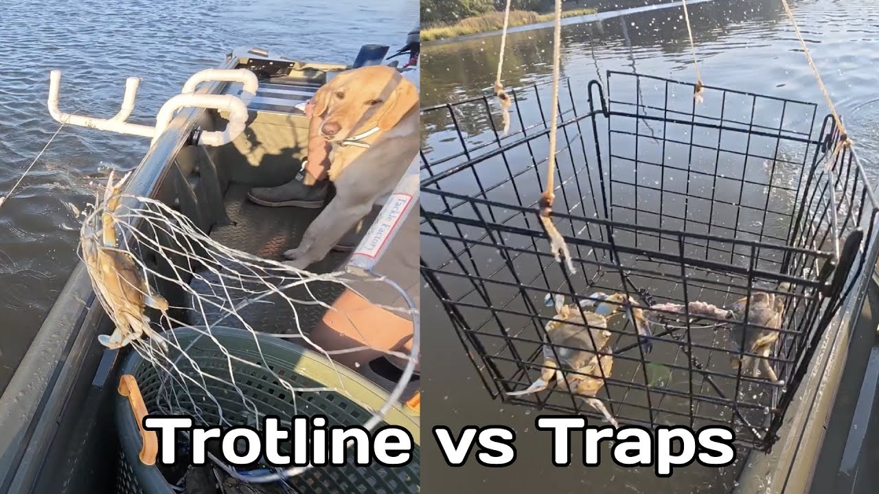 Trotline vs Traps for Crabbing - Delaware Fishing