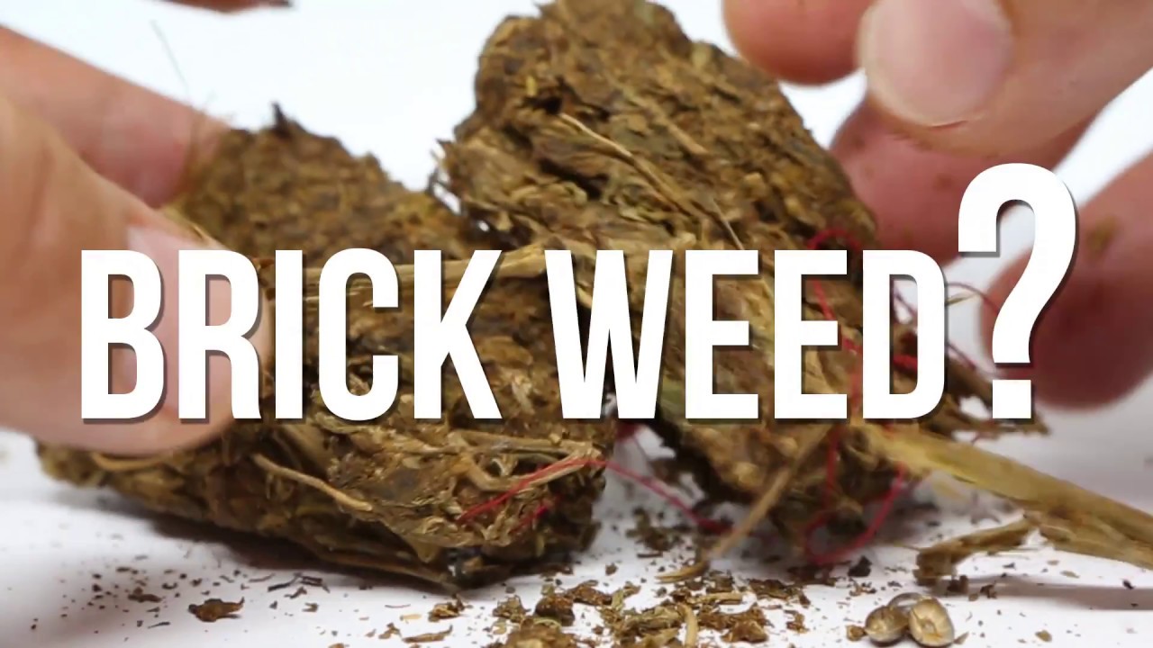 What Is Brick Weed? YouTube