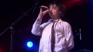 Babyshambles - Penguins (live)