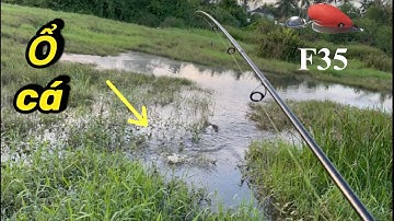 Câu lure cá lóc đầm cỏ mồi f35 trúng ổ cá, snakehead fishing lure