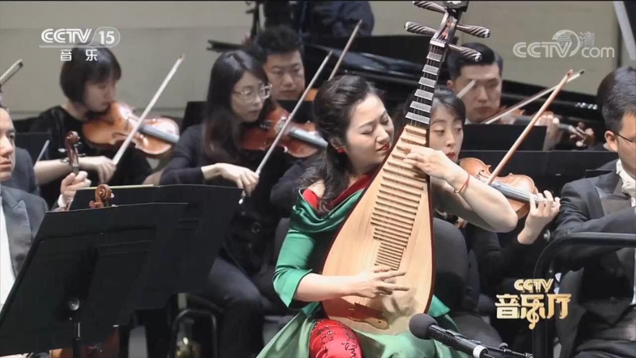【琵琶】当博士弹起考级曲：于源春 - 草原小姐妹